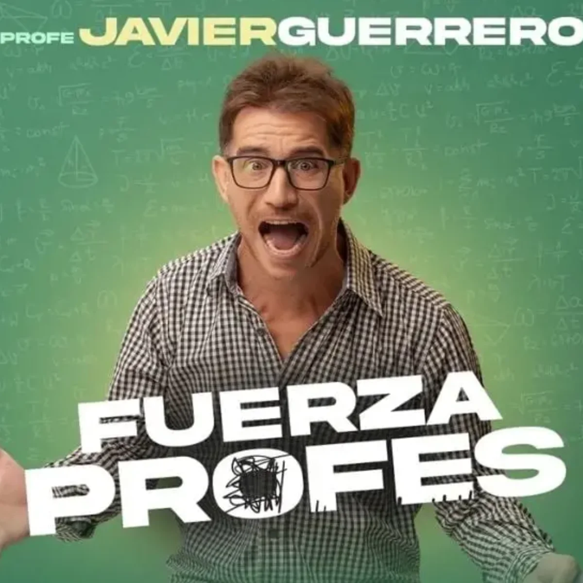 FUERZA PROFES