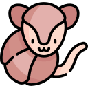 Bagualito